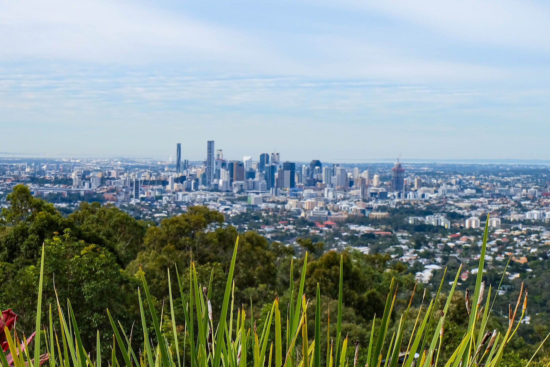 Mount Coot-tha Summit Lookout